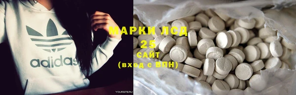 ПСИЛОЦИБИНОВЫЕ ГРИБЫ Армянск