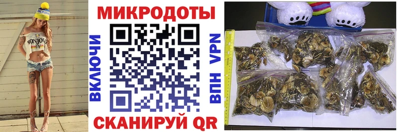 Купить закладки  Опочка  Псилоцибиновые грибы мицелий 